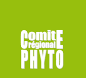 logo-Crphyto