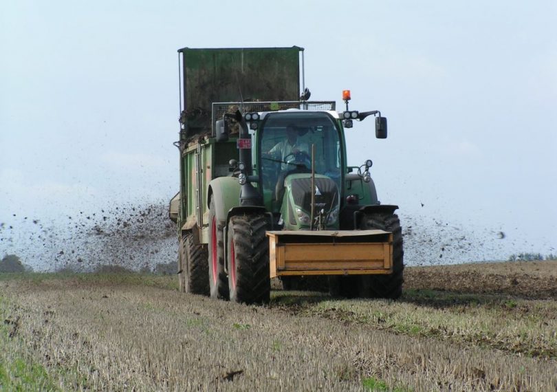 Serenade toepassen bij nieuwe aanplant bevordert wortelontwikkeling Serenade toepassen bij nieuwe aanplant bevordert wortelontwikkeling